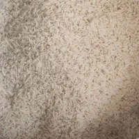 برنج هاشمی کوجنق|خوردنی و آشامیدنی|مشگین شهر, |دیوار