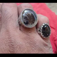 شجرقاعنات...