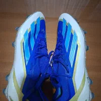 کفش|کیف، کفش، کمربند|بهارستان, |دیوار