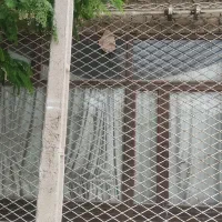 اجاره-مغازه-تجاری-بلوارشریعتی-قاسم-آباد