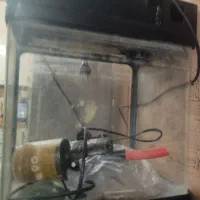 اکواریوم شیشه خم|ماهی|شیراز, کرونی(خاتونک)|دیوار