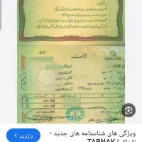 شناسنامه گم شده بنام مهدی جمالیان