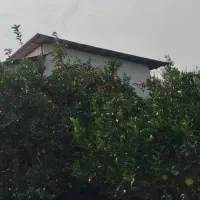 فروش ۲۰۰۰ متر ویلا باغ