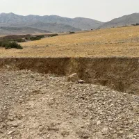 فروش زمین کشاورزی چهارتنگ