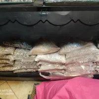 حراج شن آکواریوم