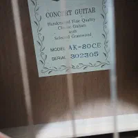 گیتارآریاak80پیکاپ دار