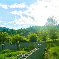 ف‌ووری زمین280متری قابل‌ساخت/پلاک1جنگل/سندتکبرگ|فروش زمین و ملک کلنگی|نور, |دیوار