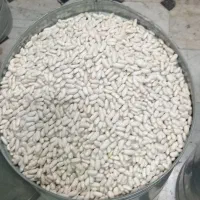 حبوبات و گردو تویسرکان و سرکه جات وغیره|خوردنی و آشامیدنی|مشهد, کوه سنگی|دیوار
