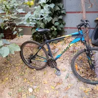 دوچرخه جاینت