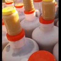 عسل کنار|خوردنی و آشامیدنی|قم, الوندیه و گذر صادق|دیوار