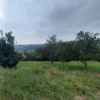 زمین باغی با ویو عالی|فروش دفتر صنعتی، کشاورزی، تجاری|قائمشهر, |دیوار