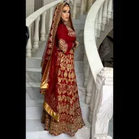 کرایه لباس هندی لباس مجلسی هندی اصل زرشکی طرح توکا|لباس|شیراز, شاهچراغ|دیوار