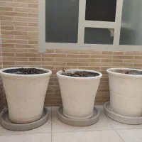 گلدان