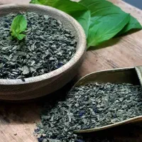 ریحان|خوردنی و آشامیدنی|قم, حاج خلیل|دیوار