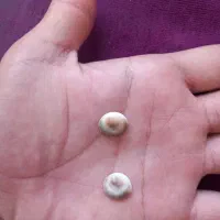ساعت مهره اصلی و قدیمی  باطری خور
