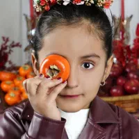 عکس یلدایی|خدمات پذیرایی، مراسم|کرمان, |دیوار