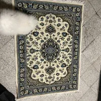 فرش ماشینی|فرش|تهران, کامرانیه|دیوار