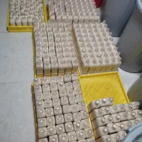 کشک غلیظ و سفت، درجه‌یک بازار. فروش عمده