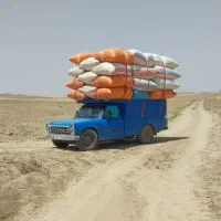 کاه