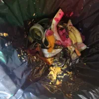 تفاله هویج