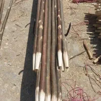 انواع دسته بیل و جارو به صورت عمده|ابزارآلات|تهران, هاشمآباد|دیوار