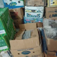 فروش عمده خرما زیر قیمت خرید