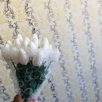 لباس|لباس|آبیک, |دیوار