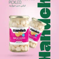 اعطای نمایندگی شرکت هانده