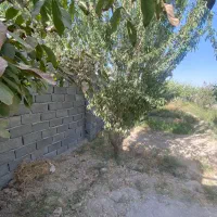 ۲۲۰ متر چهار دیوار با درخت ۱۰ ساله|فروش دفتر صنعتی، کشاورزی، تجاری|بهارستان, |دیوار