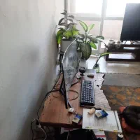 کامپیوتر ارتقاع بالا و مانیتور خم کیفیت بالا