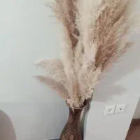 گل پامپاس|گل مصنوعی|همدان, |دیوار