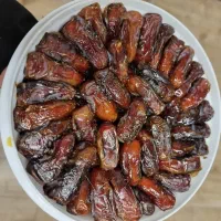 خرمای پیارم درجه یک با سطل و شیره زیر قیمت بازار