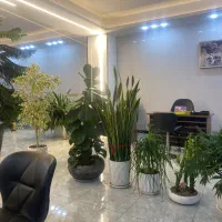 125متر-سنددار-دونبش-شاخه