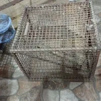 قفس آهنی|لوازم جانبی حیوانات|قم, سید معصوم|دیوار