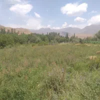 فروش زمین فوری