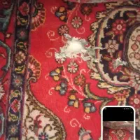 فرش خوش نقشه و رنگ|فرش|فردیس, سرحدی|دیوار