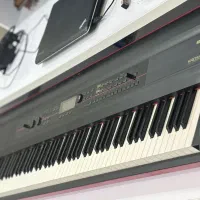 سینت سایزرکرگ|پیانو، کیبورد، آکاردئون|اهواز, کیان اباد|دیوار