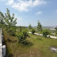 زمین داخل بافت ۱/۱۳۵ متر در بام آمل