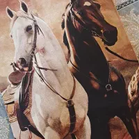 تابلو فرش|تابلو فرش|شاهینشهر, خانه کارگر|دیوار