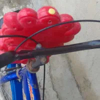 فرش دوچرخه
