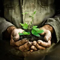 ترک سیگار، تضمینی ، گیاهی،