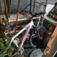 معاوضه دوچرخه با بز شیری