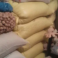 گندم|عمدهفروشی|اشترینان, |دیوار