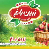 ویزیتور پخش مواد غذایی