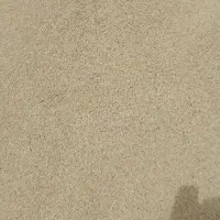 جو و گندم کنگان و ارسال ب اطراف