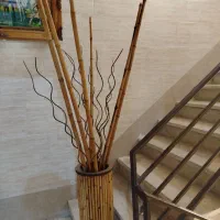 گلدان بامبو، نی خیزران