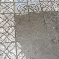 کفسابی سیار|خدمات نظافت|ایلام, |دیوار