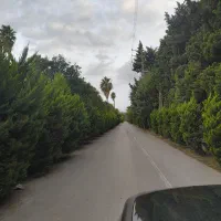 شهرک امیر سالار  .  710 متر