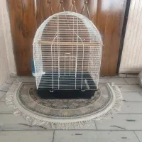 قفس پرنده