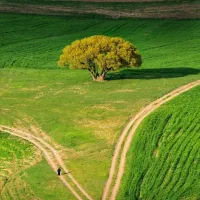 زمین کشاورزی ۳هکتار